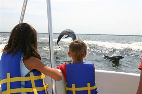 big fun dolphin cruise orange beach|gulf shores alabama dolphin tour.